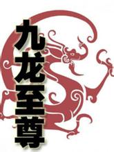 九龙至尊小说免费阅读完整版